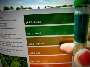 pesticides alkaline or acidic