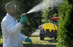 pesticides effects on plants